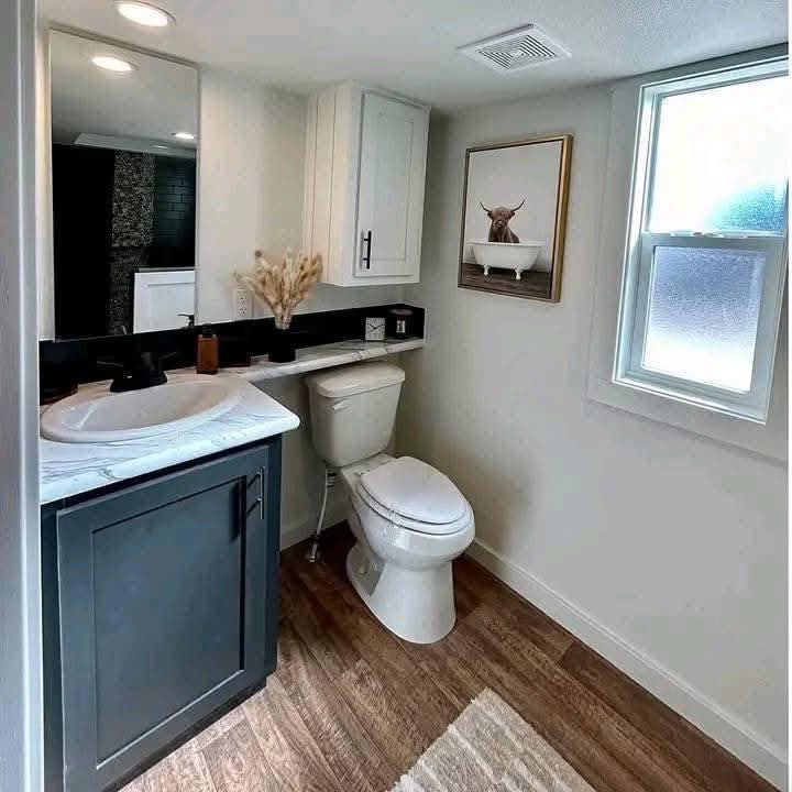 A modern bathroom with wood flooring features a white toilet and dark vanity with a marble sink. A humorous cow-in-bathtub photo hangs on the wall. Soft lighting and a frosted window create a cozy ambiance.
