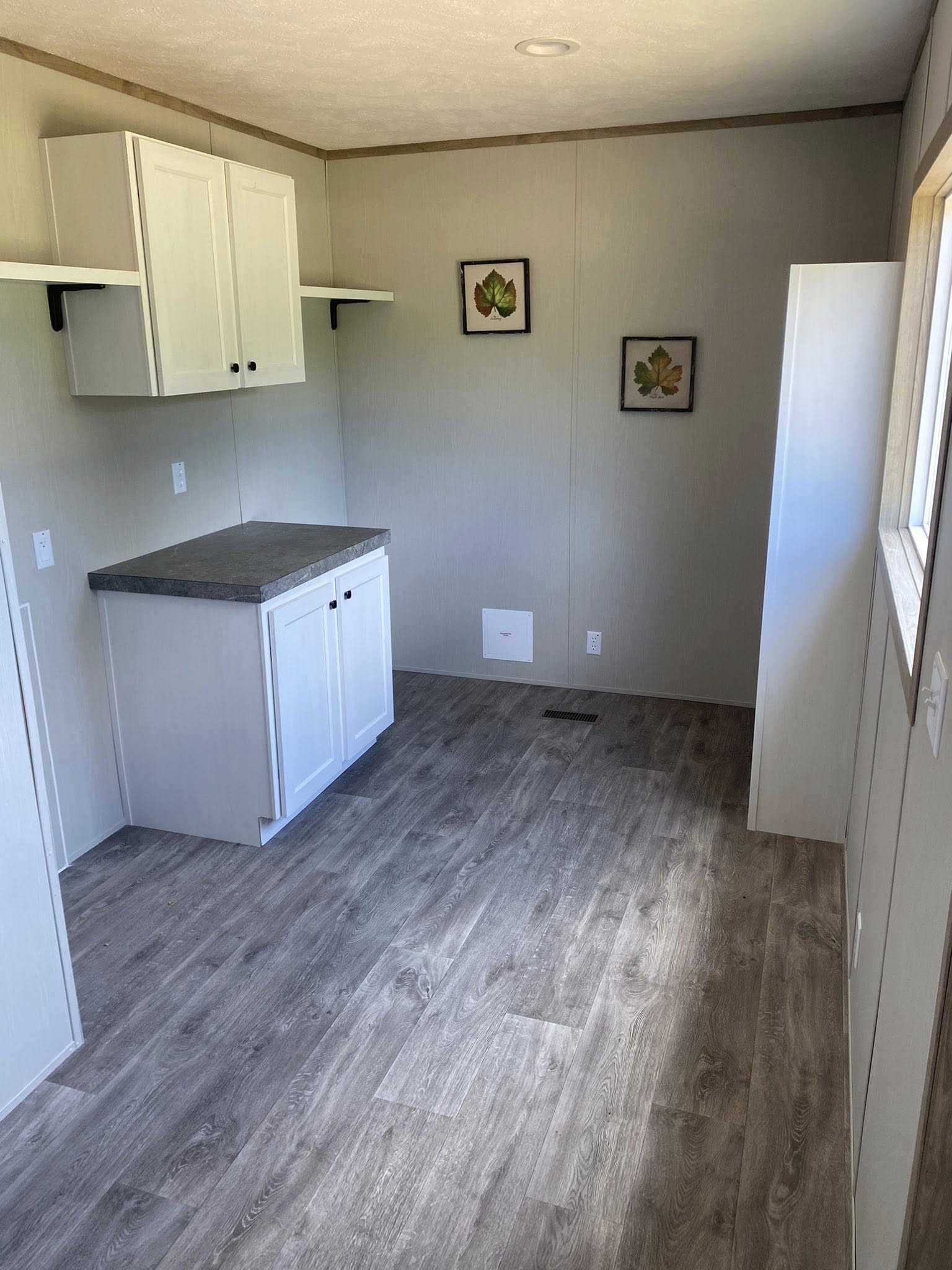 Compact room with light gray walls and wood flooring. Features white cabinets with a gray countertop, and two framed leaf artworks on the wall. Peaceful ambiance.