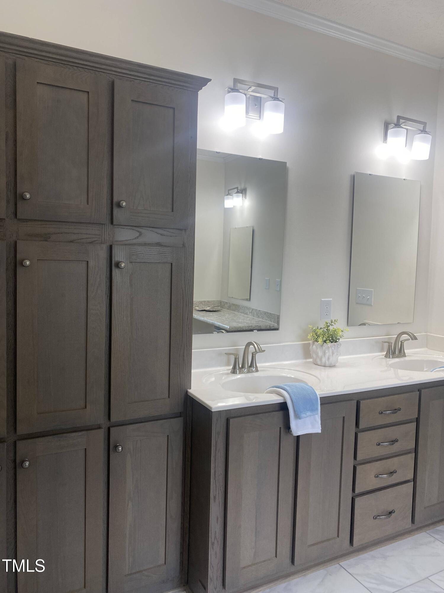 Modern bathroom with dark wood cabinets and a dual sink vanity. A blue towel drapes over one sink, flanked by mirrors and bright lights. A small plant adds a touch of greenery.