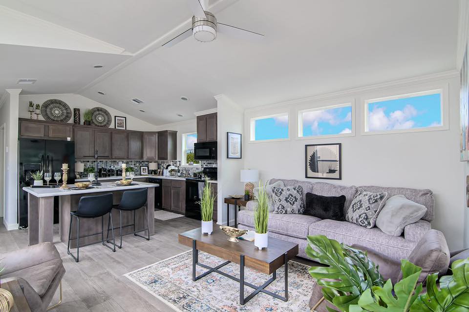 Modern open-concept living area with a sleek kitchen. Cozy gray sofa, patterned cushions, indoor plants, and art create a welcoming atmosphere. Bright windows.
