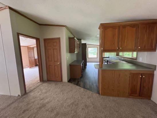 Open layout home interior featuring a kitchen with wooden cabinets and an L-shaped countertop. Adjacent, a carpeted room with natural light through windows.