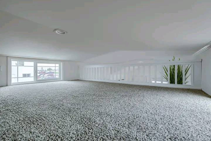 Spacious, carpeted white attic with low ceiling, large window, bright natural light, white railing, and a tall plant, conveying a serene atmosphere.