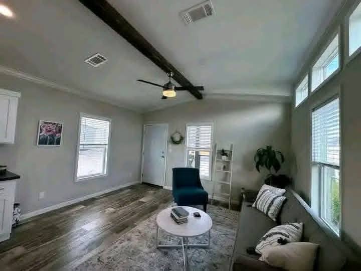 Modern living room with wooden floors, a gray couch, blue chair, round coffee table, and leafy plant. Sunlight streams through multiple windows. Cozy ambiance.